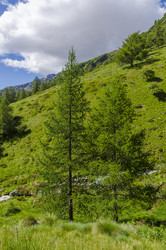 Similar image 22151446