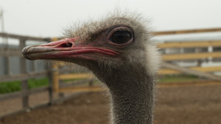 Similar image 22149025