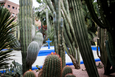 Similar image 22160118