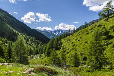 Similar image 22151448