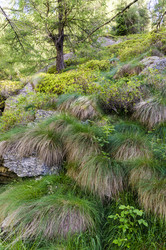 Similar image 22151449