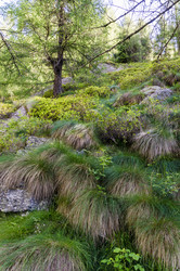 Similar image 22151451