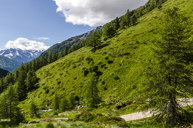 Similar image 22151456