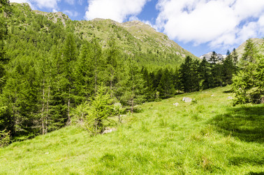 Similar image 22151459