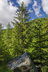 Similar image 22151460