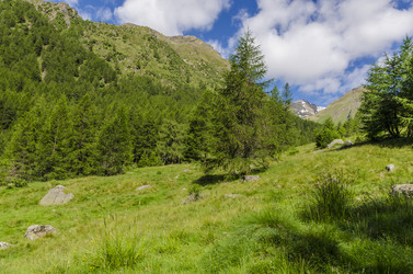 Similar image 22151463