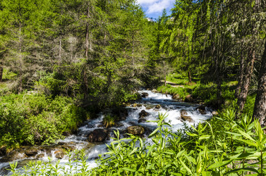 Similar image 22151464