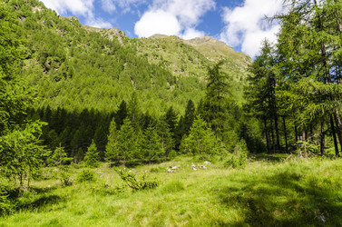 Similar image 22151467