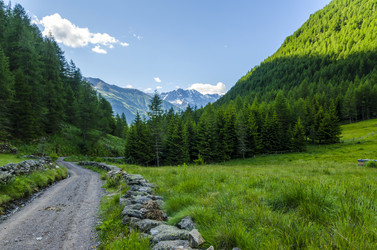 Similar image 22151623