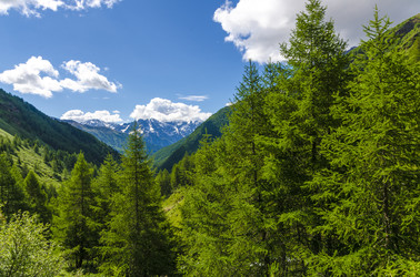 Similar image 22151624