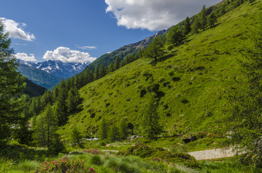 Similar image 22151626