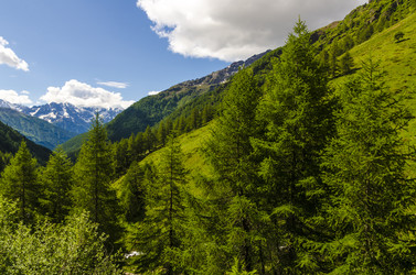 Similar image 22151630