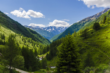 Similar image 22151636