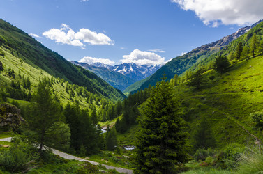 Similar image 22151638