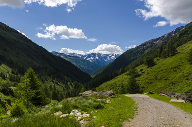 Similar image 22151650