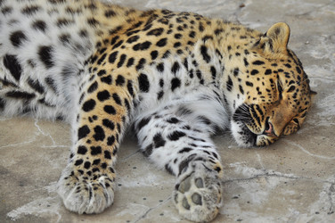 Similar image 22161231