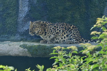 Similar image 22161232