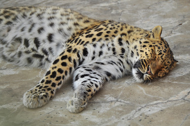 Similar image 22161233