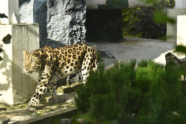 Similar image 22161234