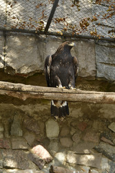 Similar image 22161235