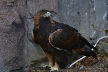 Similar image 22161236