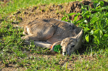 Similar image 22161238