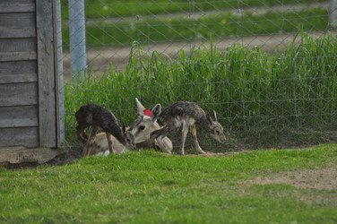 Similar image 22161241