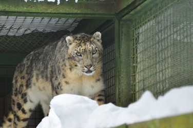 Similar image 22161242