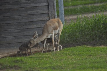 Similar image 22161243