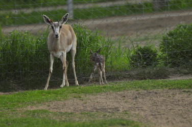 Similar image 22161244