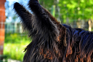 Similar image 22161245