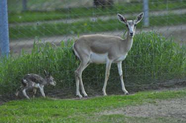 Similar image 22161246