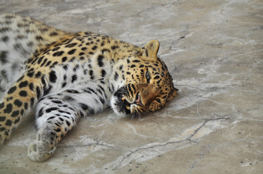 Similar image 22161247