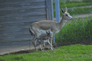 Similar image 22161249