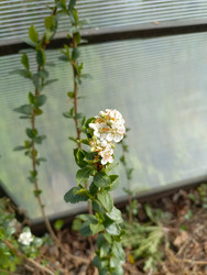 Similar image 22149026