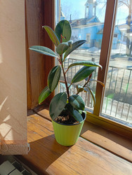 Similar image 22149030