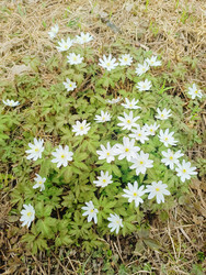 Similar image 22149034