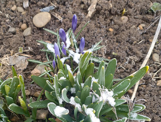 Similar image 22149318