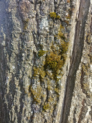 Similar image 22149320