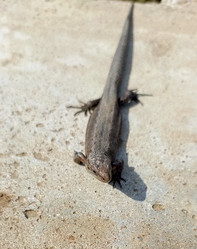 Similar image 22149332