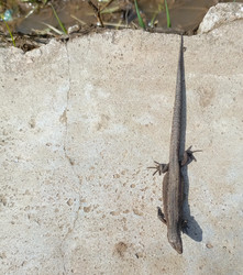 Similar image 22149333