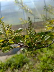 Similar image 22149334