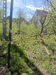 Similar image 22149336