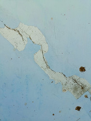 Similar image 22149337