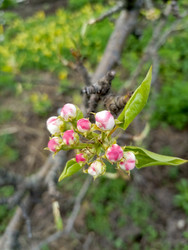 Similar image 22149344