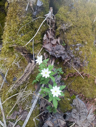 Similar image 22149347