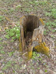 Similar image 22149351