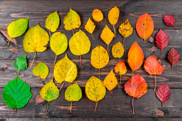 Similar image 22155651