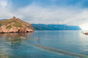 Similar image 22155823