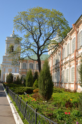 Similar image 22155399